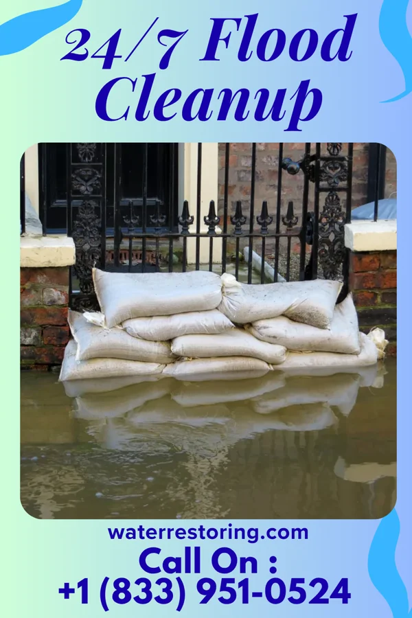 24/7 Flood Cleanup in Backus, MN