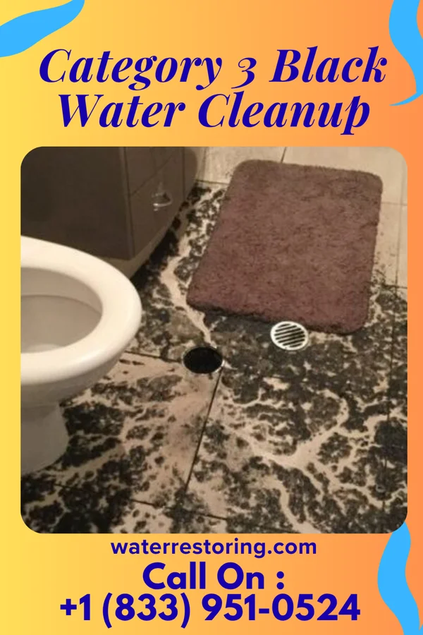 Category 3 Black Water Cleanup in Backus, MN