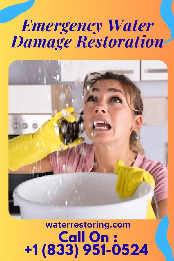 Emergency Water Damage Restoration in Backus, MN