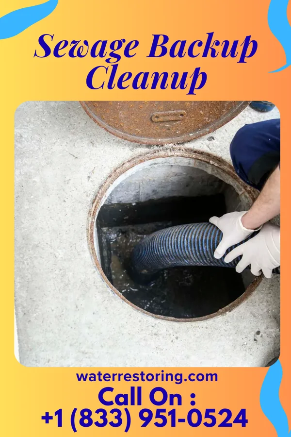 Sewage Backup Cleanup in Backus, MN