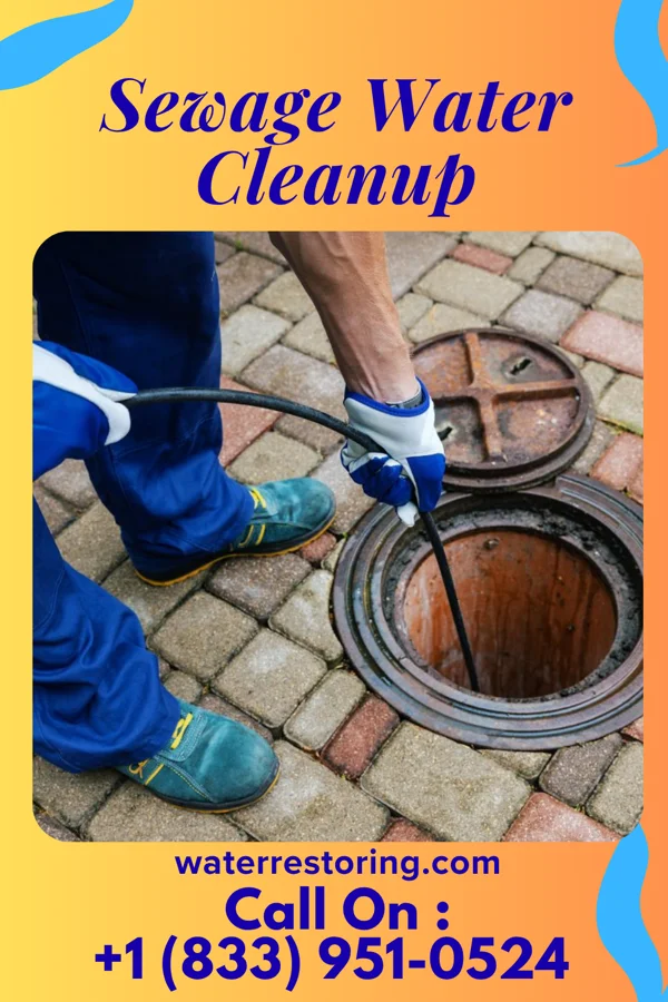 Sewage Water Cleanup in Backus, MN