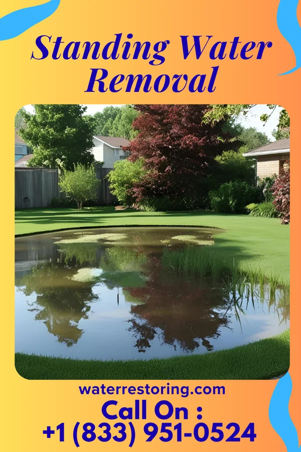 Standing Water Removal in Backus, MN